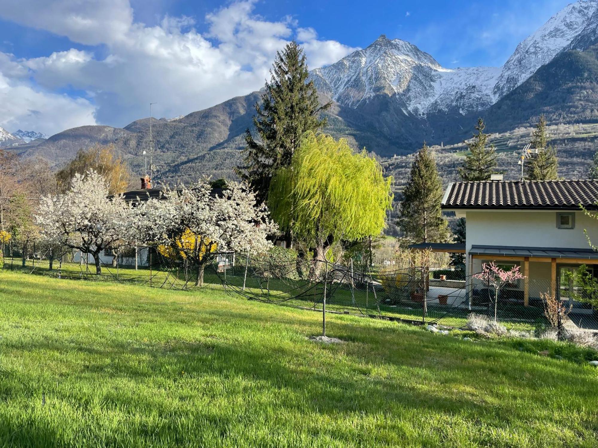 La Casina Di Oscar Ad Ao V Combe Vda Quart 0014 E 00I6 Daire Dış mekan fotoğraf
