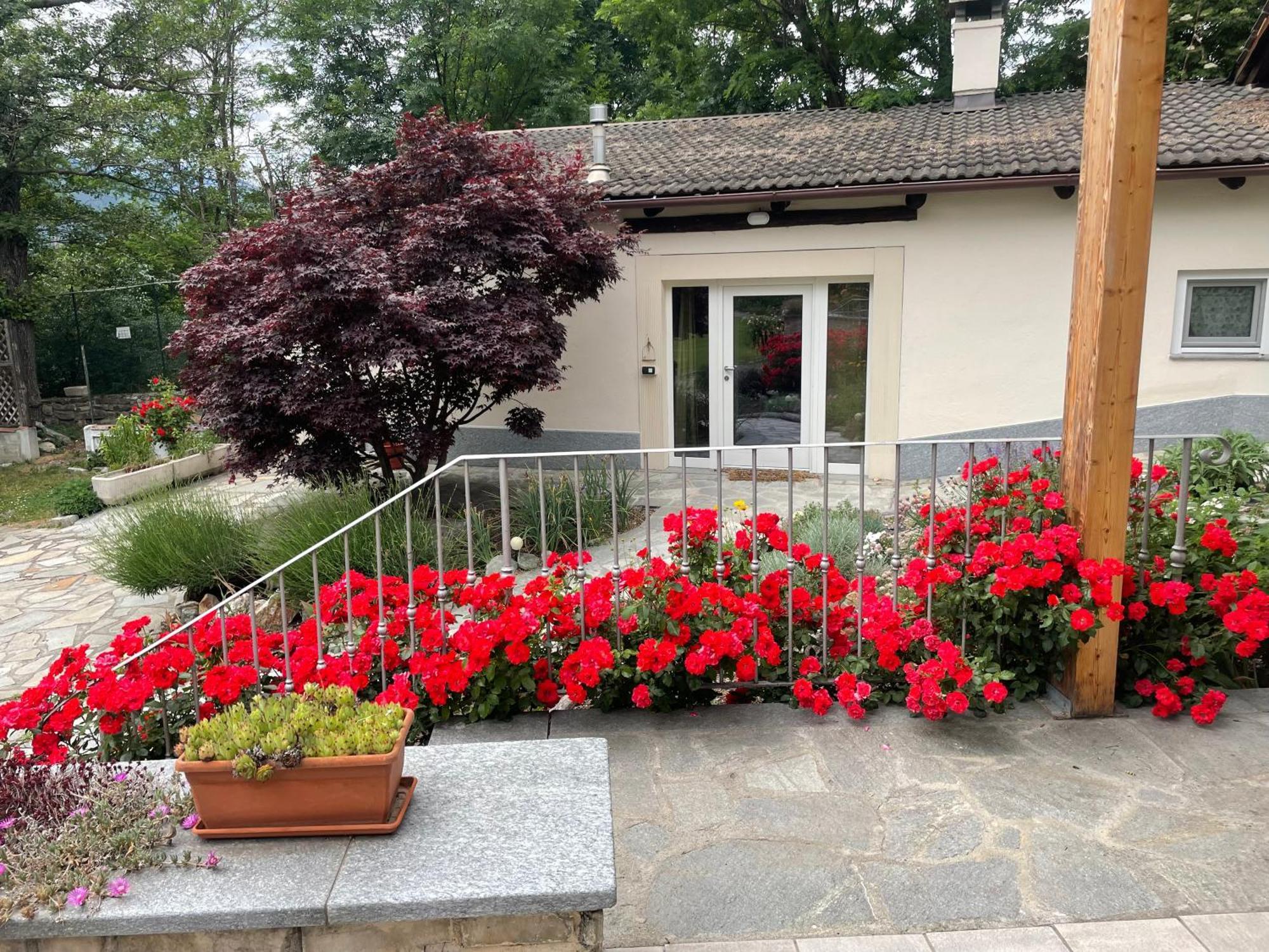 La Casina Di Oscar Ad Ao V Combe Vda Quart 0014 E 00I6 Daire Dış mekan fotoğraf